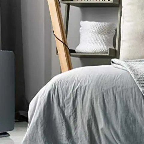 Best air purifier for bird owners in 2022