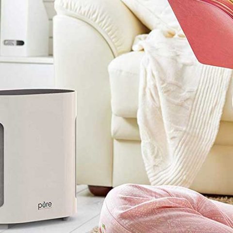 Best air purifier for cat litter odor in 2022