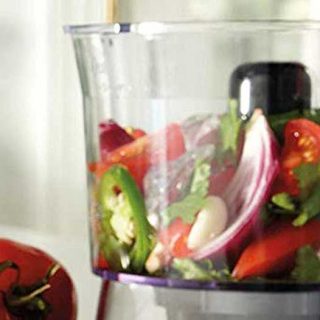 Best blender for vegans