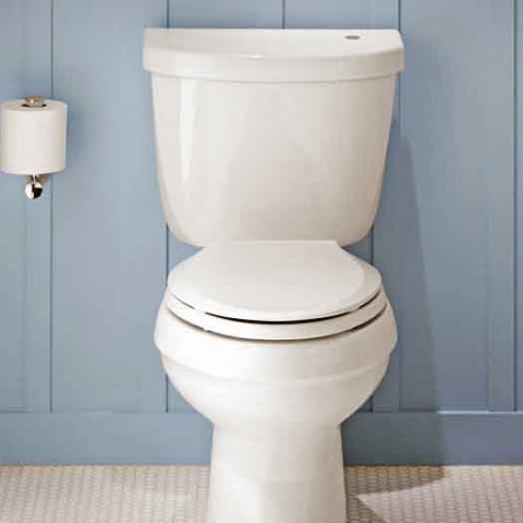 Kohler Touchless Toilet Sensor Not Working? Here’s a Fix