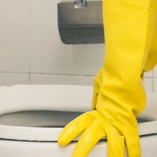 How to Unclog a Toilet