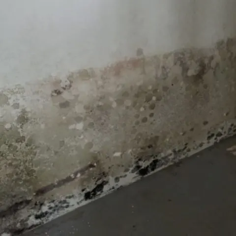 What Is The Best Humidity Level For A Basement Indoor Haven Best Humidity Level For A Basement, What To Do About A Humid Basement