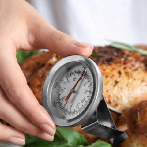 Where to Insert a Meat Thermometer in a Turkey