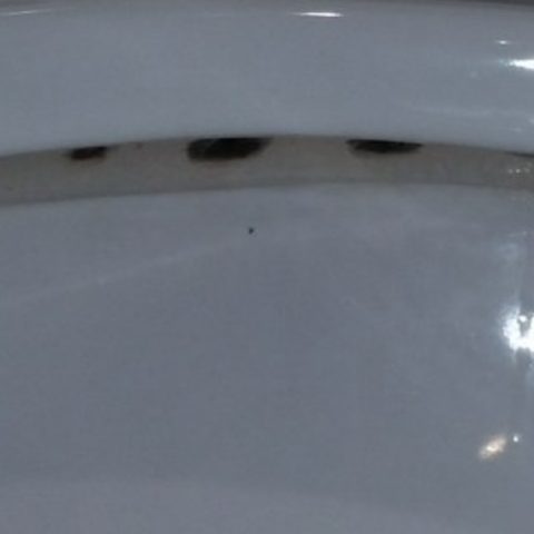 What is the Black Stuff Under the Toilet Bowl Rim?