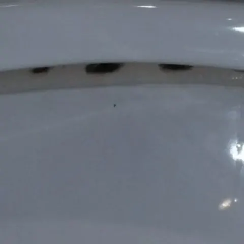 What is the Black Stuff Under the Toilet Bowl Rim?