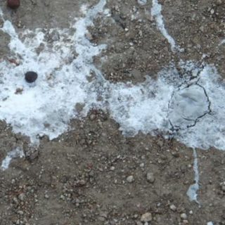 how to clean bird droppings from concrete floor