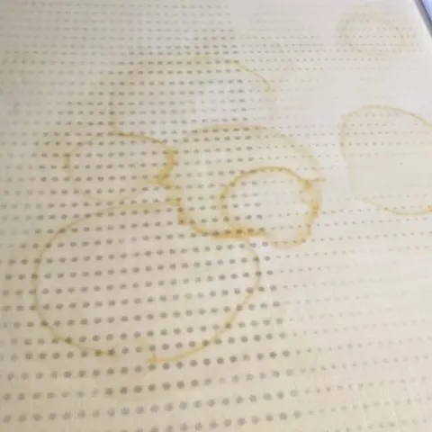 How to Get Urine Out of Memory Foam Mattress