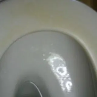 How to Remove Urine Stains From a Toilet Seat