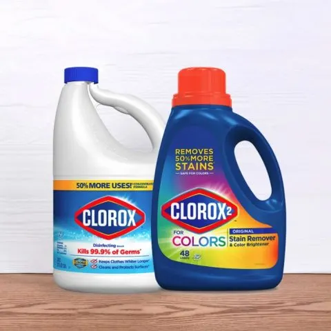 Does Bleach Kill Spiders?