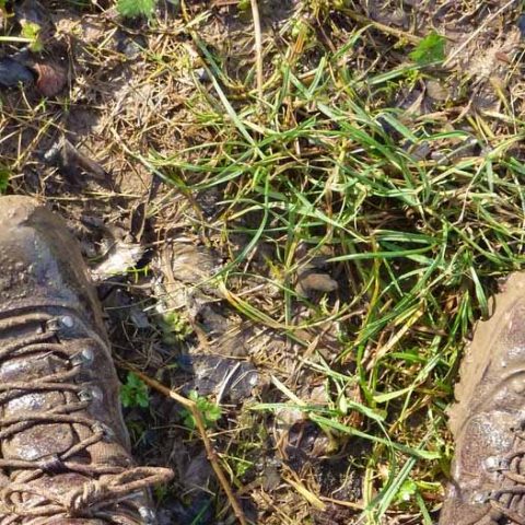 How To Clean Hiking Boots