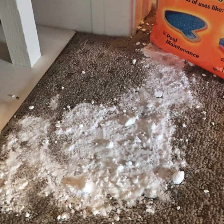 How to Clean Vomit from a Carpet